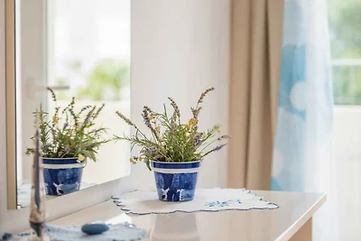 Ferienwohnung mit Klimaanlage und Grill in