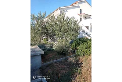 Ferienwohnung 70 m vom Meer