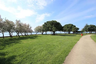 Ferienhaus im Stadtzentrum von Novigrad, Stra