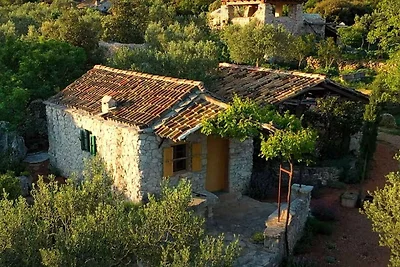 Studio mit Internet und Garten