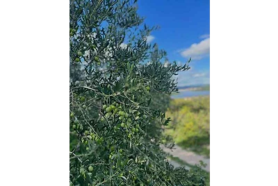 Ferienhaus mit Klimaanlage