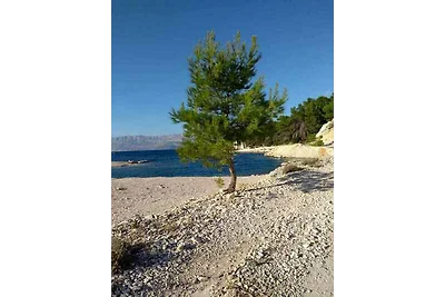 Gemütliche Ferienwohnung Coloured auf der Ins