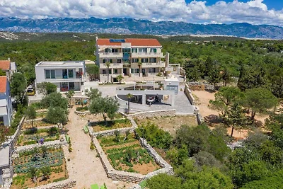 Komfortable Ferienwohnung Tomo mit Meerblick 