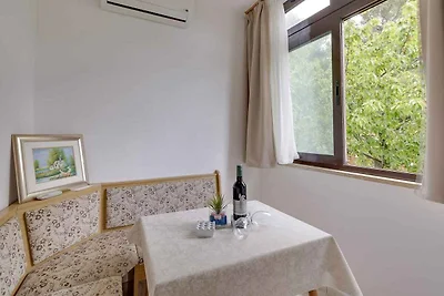 Studio mit Klimaanlage und Grill