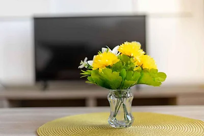 Ferienwohnung in Meernähe