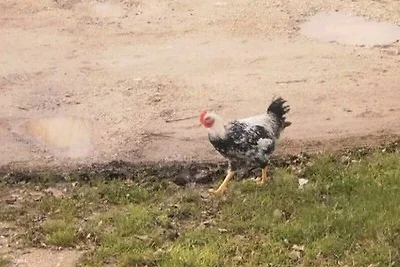 Ferienwohnung Unterkunft in der Natur