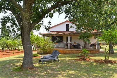 Ferienhaus mit kompletter Ausstattung, Terras