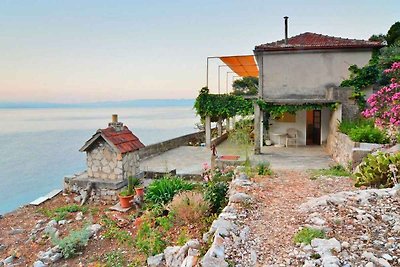 Ferienhaus mit Seeblick