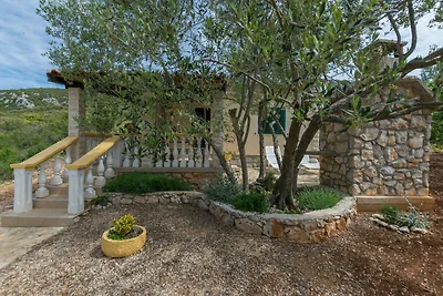 Ferienhaus mit Terrasse und Internet