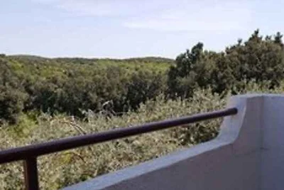 Vakantieappartement Gezinsvakantie Vrsar