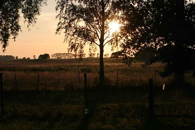 Bungalow mit Seeblick