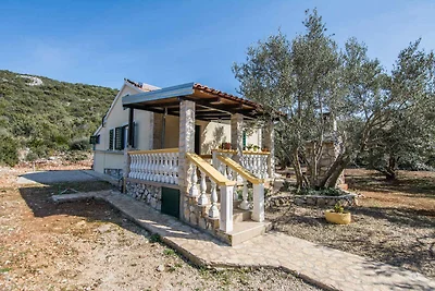 Ferienhaus mit Terrasse und Internet