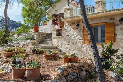 Ferienhaus mit Seeblick