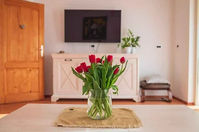 Domek letniskowy Urlop wypoczynkowy Valentici