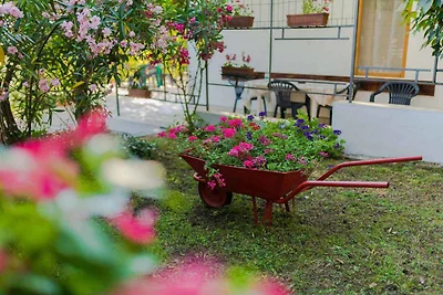 Appartamento Vacanza con famiglia Malinska