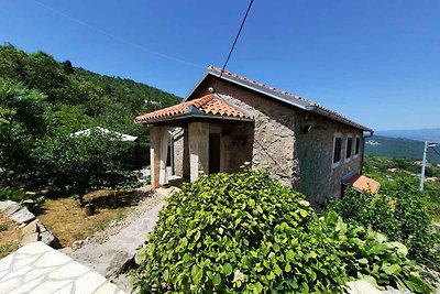 Ferienhaus mit und Meerblick