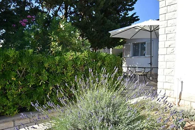 Domek letniskowy Urlop wypoczynkowy Stara Novalja