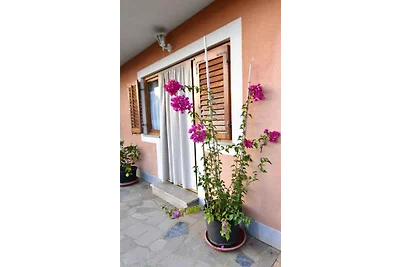 Ferienwohnung in ruhiger Lage und in