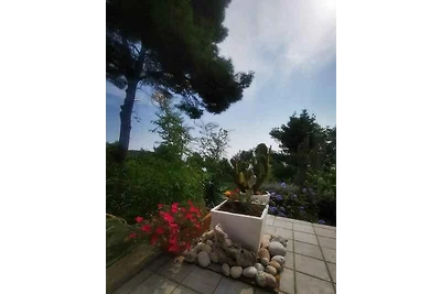 Ferienwohnung mit Klimaanlage und Meerblick