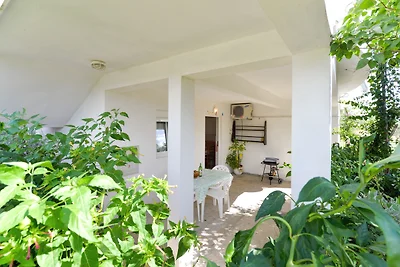 Ferienwohnung erste Reihe zum Meer