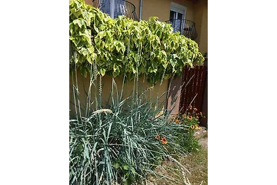 Ferienwohnung mit Grill und Gartenpavilion