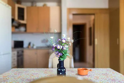 Ferienwohnung mit Klimaanlage