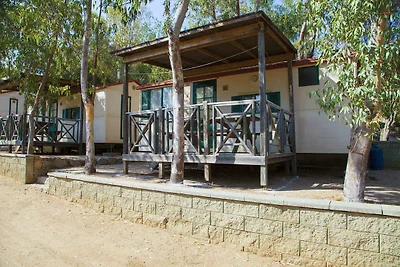 Mobilehome mit Klimaanlage und Strandservice