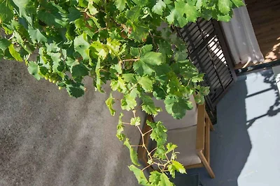 Ferienwohnung Castello A3