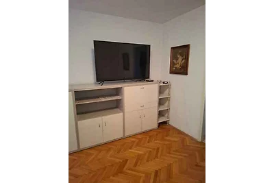 Gemütliche Ferienwohnung Anica in ruhiger Lag