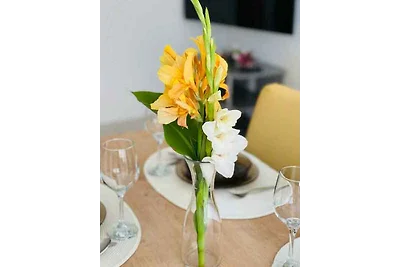 Schönes Apartment für 2 Gäste mit Terrasse