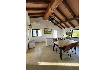 Ferienhaus mit Klimaanlage und Pool