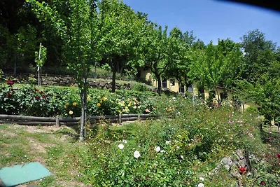 Appartamento Vacanza con famiglia Vicchio