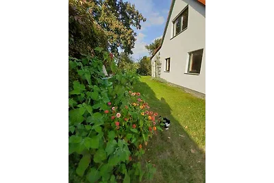Ferienhaus mit Garten und Terrasse, 800 m zum
