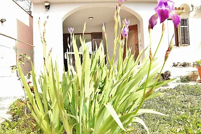 Vakantieappartement Gezinsvakantie Vinkuran