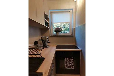 Ferienwohnung mit Seeblick