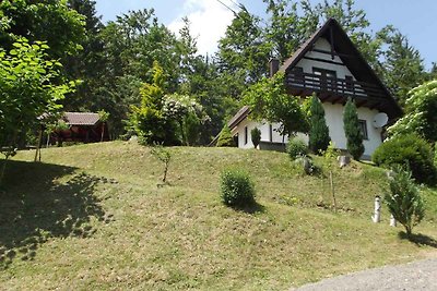 Ferienhaus mit Terrasse und grossen Garten