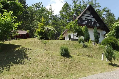 Ferienhaus mit Terrasse und grossen Garten