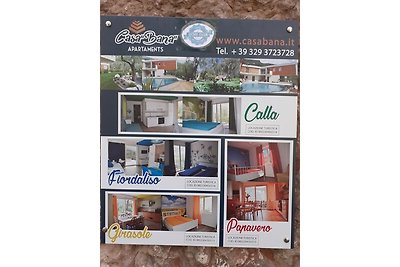 Holiday flat family holiday Cassone di Malcesine