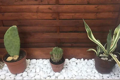 Casa vacanze Vacanza di relax Szántód