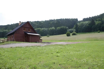Ferienhaus mit Aussenpool und Internet