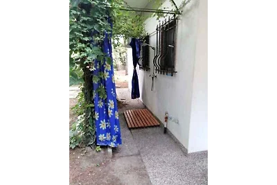 Bungalow 80 m vom Strand mitten im Pinienhain