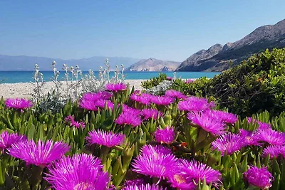 Ferienwohnung mitBalkon