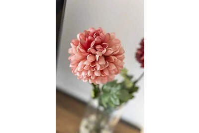 Ferienwohnung mit Garten, Balkon und