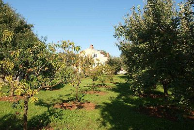 Ferienwohnung mit Klimaanlage und Pool