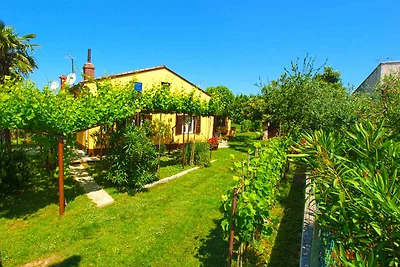 Ferienwohnung mit Garten und Grill