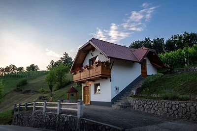 Ferienhaus auf dem Weinberghügel in der Nähe 