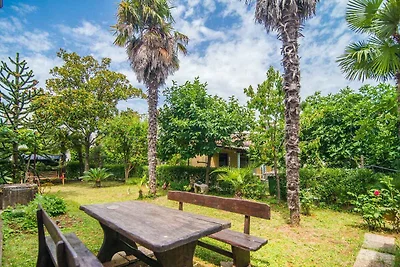 Einfach eingerichtetes Apartment mit 2 Schlaf