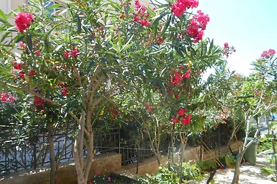 Apartamento Vacaciones familiares Molunat