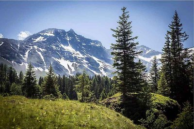 Vakantieappartement Gezinsvakantie Rauris