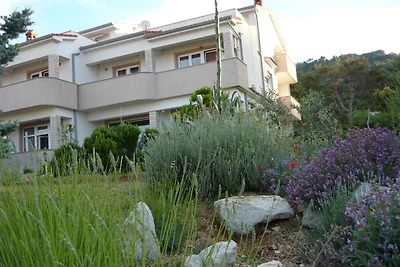 Vakantieappartement Gezinsvakantie Barbat